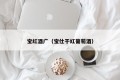Bao Red Wine Guang (Bao Shi Dry Red Wine)